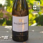 Chardonnay Hoya de Cadenas 2016